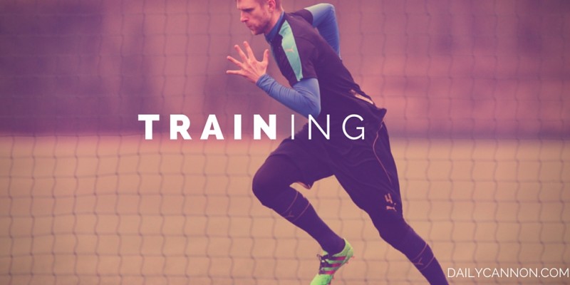 training e1458076003286
