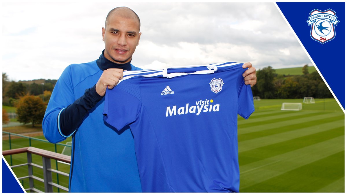 marouane chamakh cardiff city