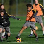 nelson training 2