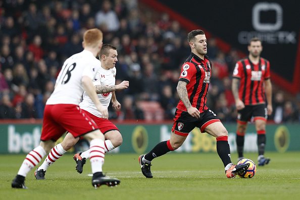 wilshere bou
