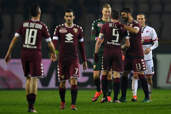 belotti 2