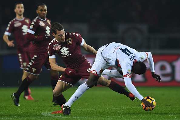 belotti 3