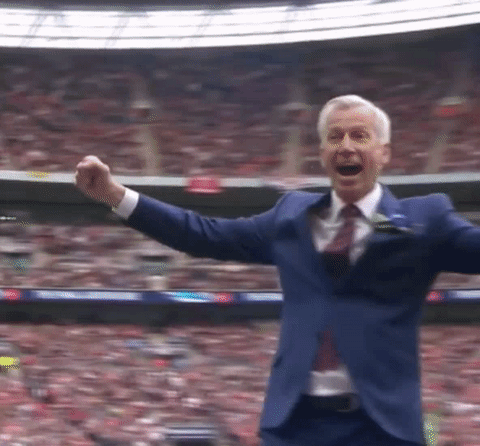 alan pardew gif