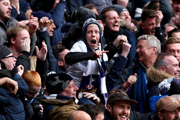 tottenham fans