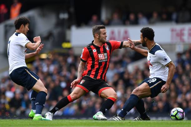 wilshere tot