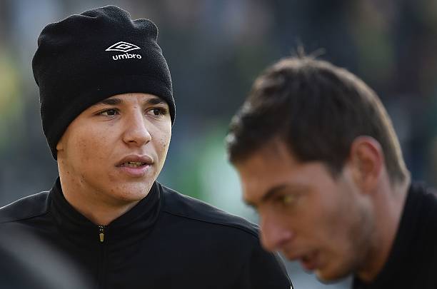 amine harit