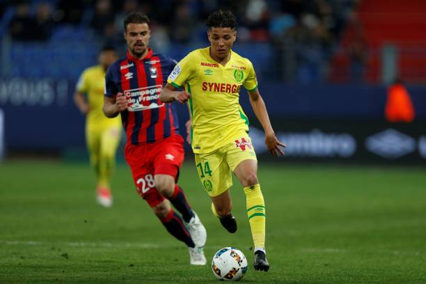 Harit
