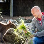 ljungberg taronga zoo 4
