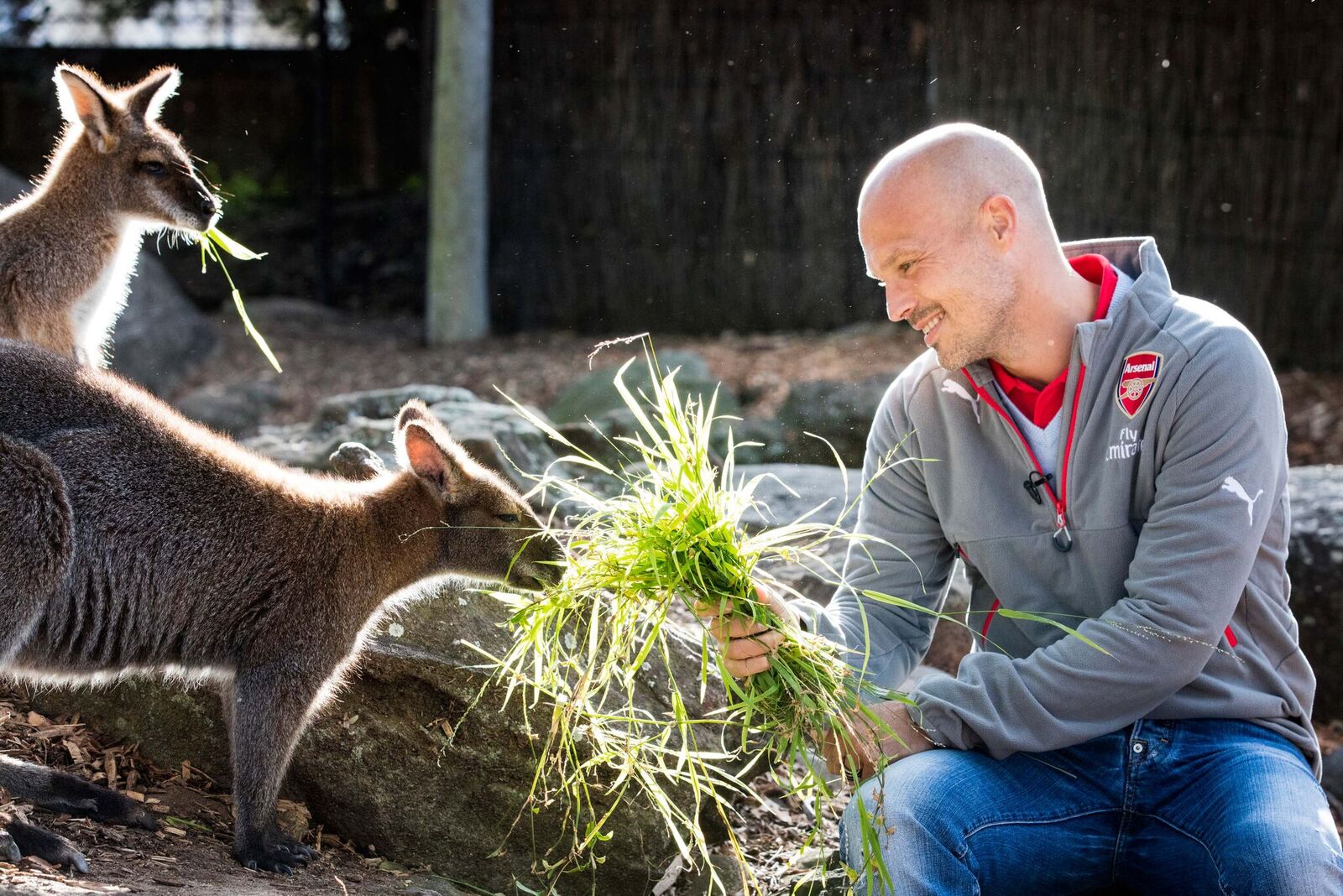 ljungberg taronga zoo 4