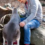 ljungberg taronga zoo 5