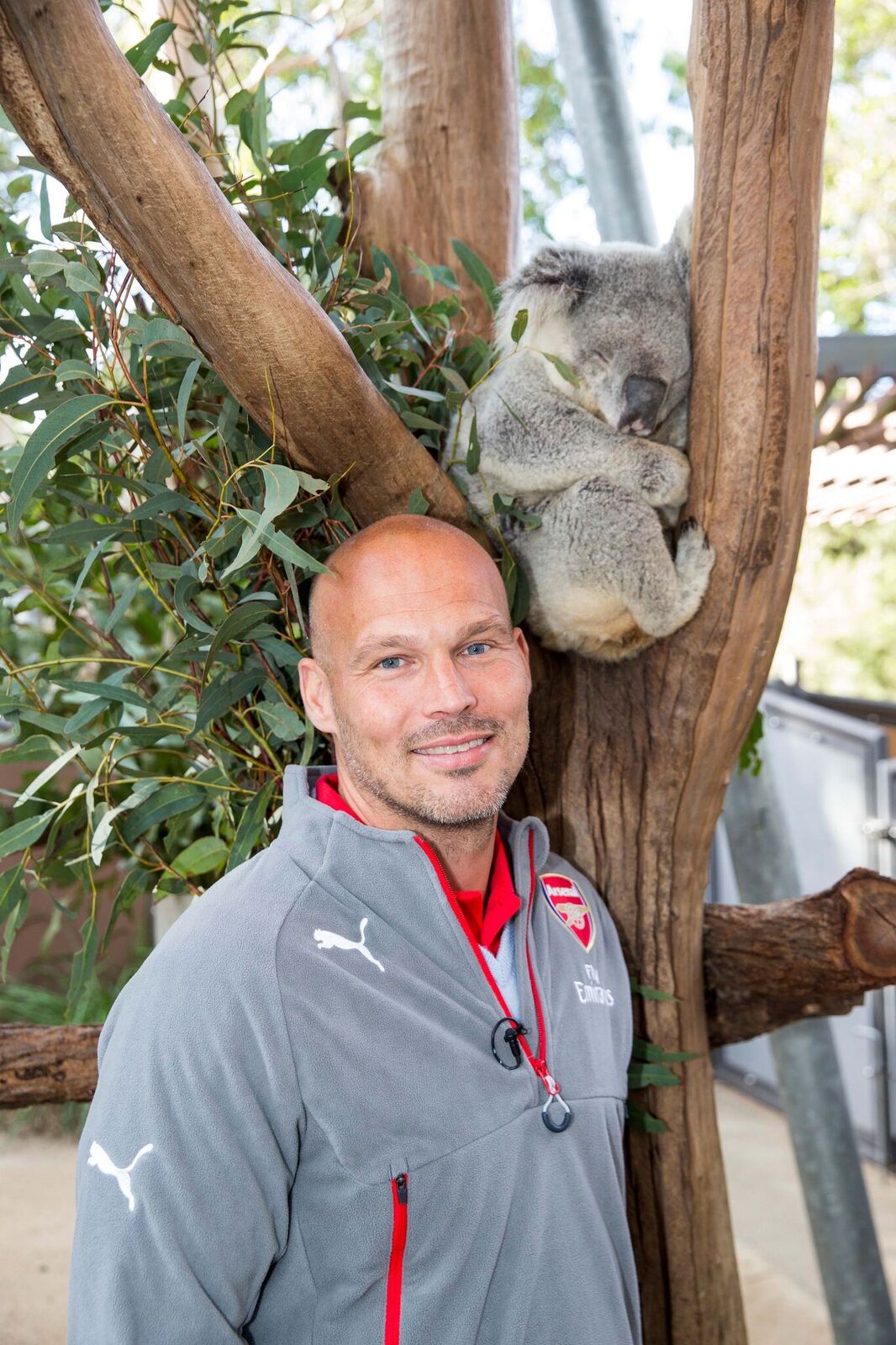 ljungberg taronga zoo 7
