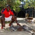 sol campbell taronga zoo 5