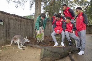Taronga Zoo 10
