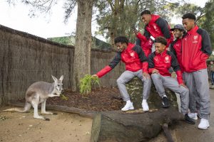 Taronga Zoo 11