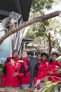Taronga Zoo 2