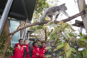 Taronga Zoo 3