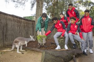 Taronga Zoo 4