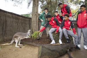 Taronga Zoo 5