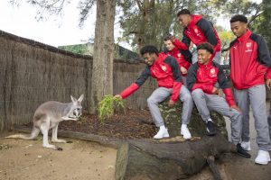 Taronga Zoo 6