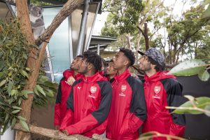 Taronga Zoo 8
