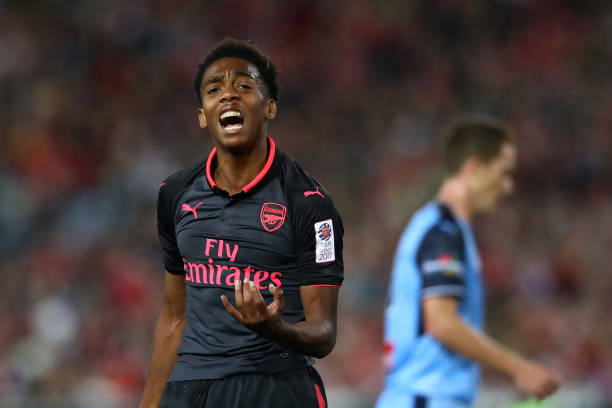joe willock v sydney