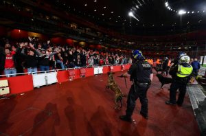 cologne fans 4