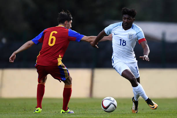 Maitland Niles