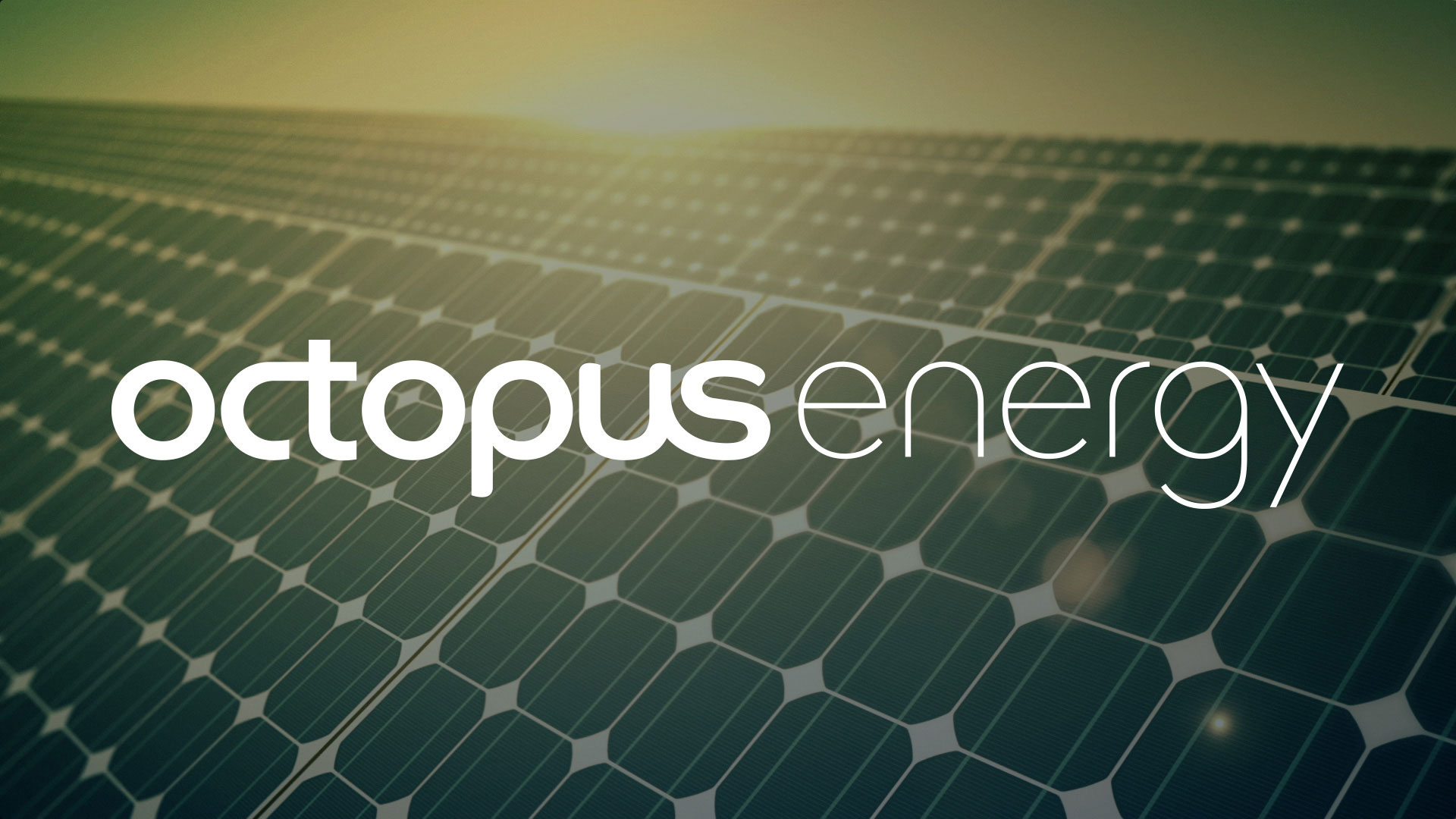 octopus energy