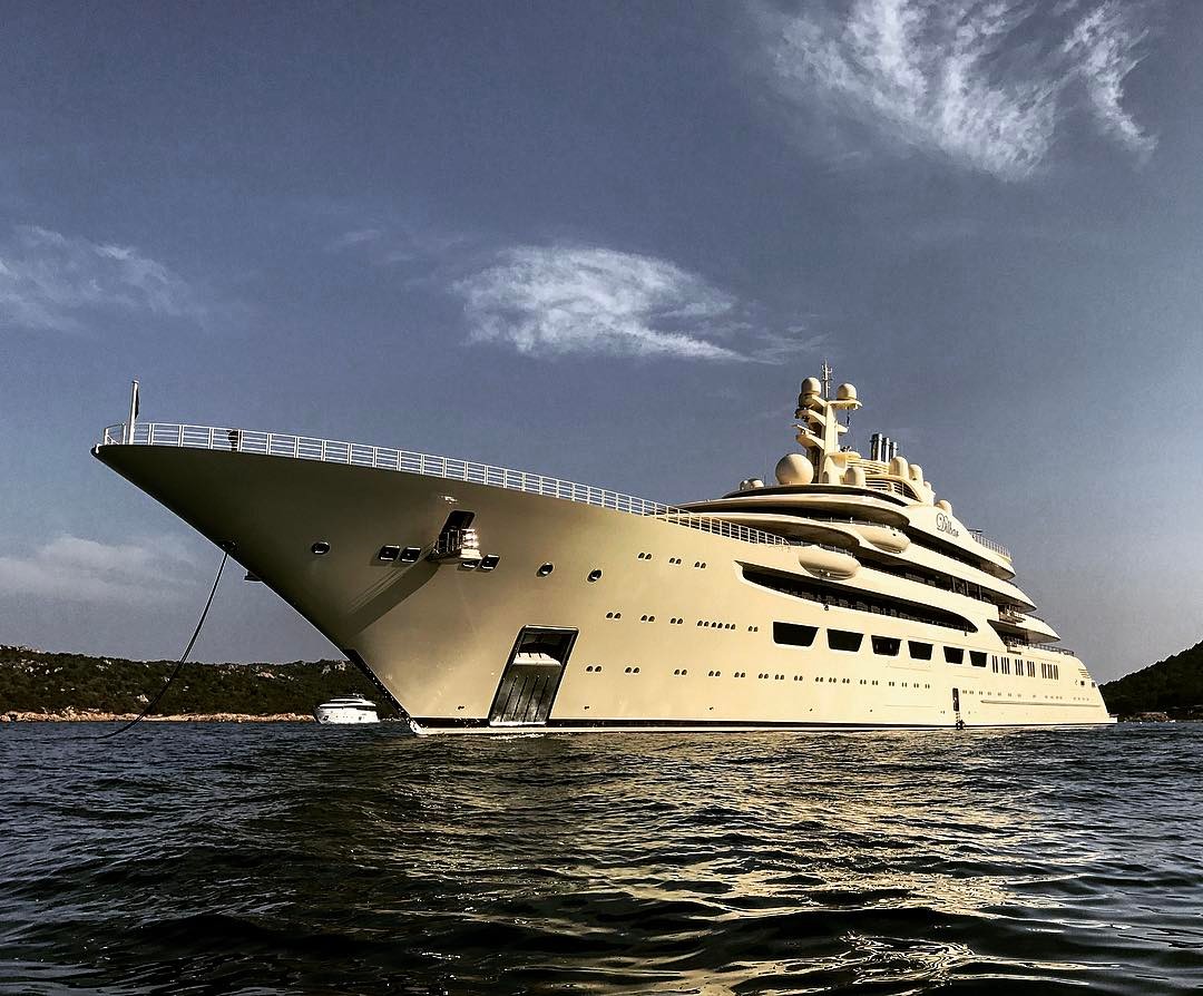 dilbar 66 1