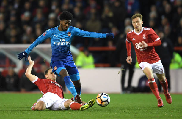 maitland niles forest