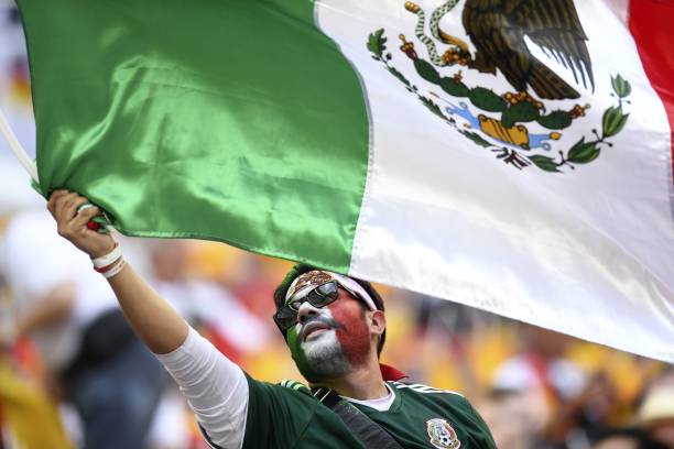 TOPSHOT - A Mexico's fan waves a Mexican national flag as he cheers prior to the Russia 2018 World Cup Group F football match between Germany and M...