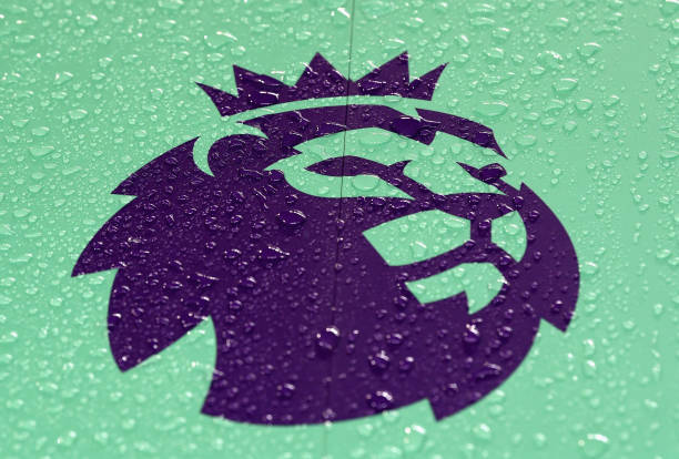 MANCHESTER, ENGLAND - JANUARY 02: The Premier League logo is displayed prior to the Premier League match between Manchester City and Watford at Eti...