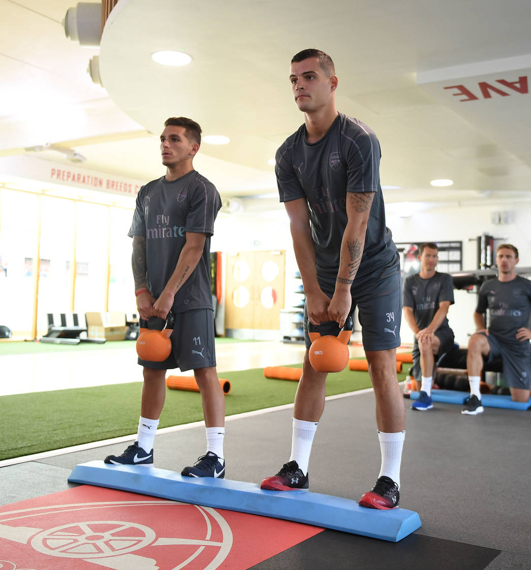 torreira