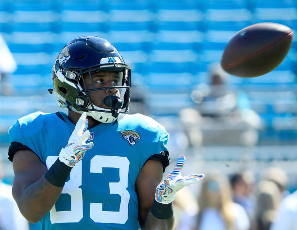 JACKSONVILLE, FL - OCTOBER 21: David Williams #33 of the Jacksonville Jaguars warms up prior to the game against the Houston Texans at TIAA Bank Fi...