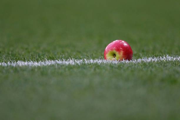 An apple thrown from the crowd is seen at the side of the pitch as Tottenham celebrate scoring during the English Premier League football match between Arsenal and Tottenham Hotspur at the Emirates Stadium in London on December 2, 2018. (Photo by Adrian DENNIS / IKIMAGES / AFP)