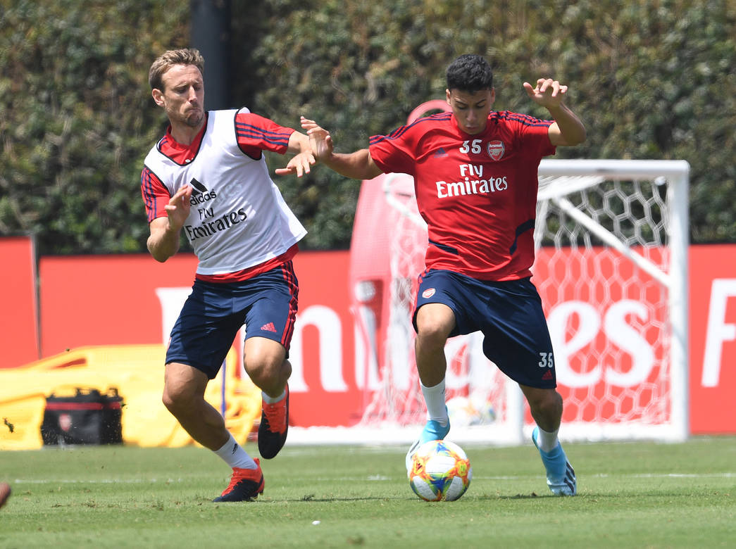 nacho monreal martinellli