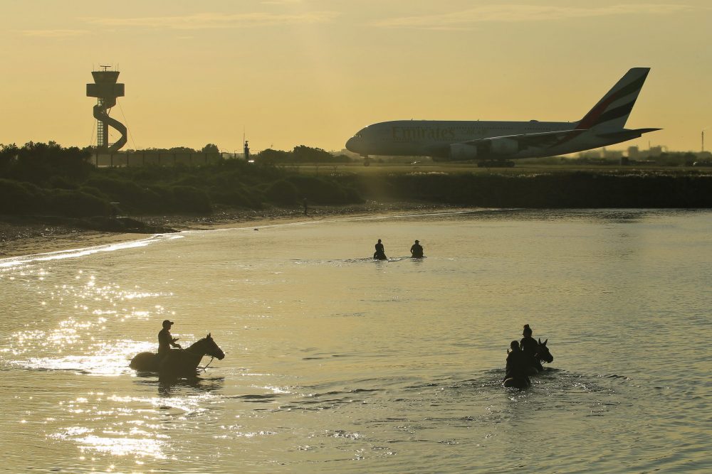 SYDNEY, AUSTRALIA - MARCH 25: An Emirates plane takes off as racehorses are seen exercising during a recovery session at Botany Bay on March 25, 20...