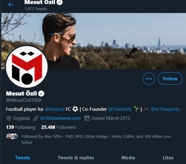 mesut ozil one unity