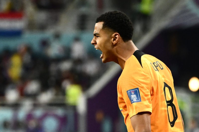 Netherlands' forward #08 Cody Gakpo celebrates after he scored his team's first goal during the Qatar 2022 World Cup Group A football match between...