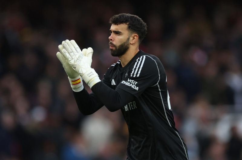 LONDON, ENGLAND - OCTOBER 28: David Raya of Arsenal during the Premier League match between Arsenal FC and Sheffield United at Emirates Stadium on ...