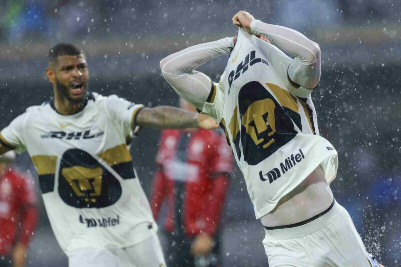 Ex-Gunner offers £15k reward for lost dog