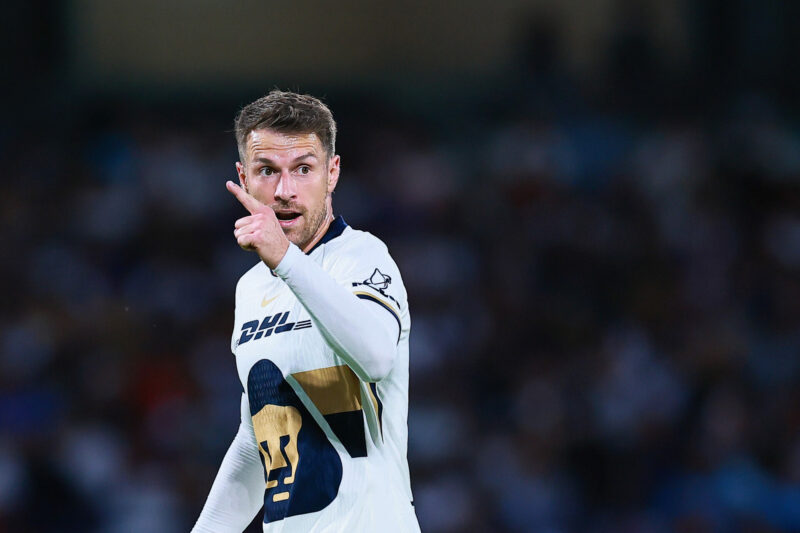 Ex-Gunner terminates contract after 3 months due to missing dog