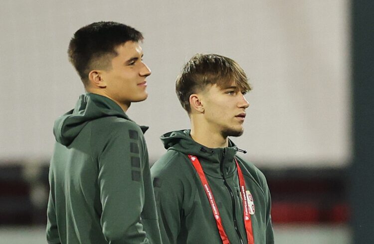 Vanja Dragojevic and Vasilije Kostov of Serbia inspect the pitch prior to the FIFA World Cup 2026 qualifier match between Serbia and Albania at on ...