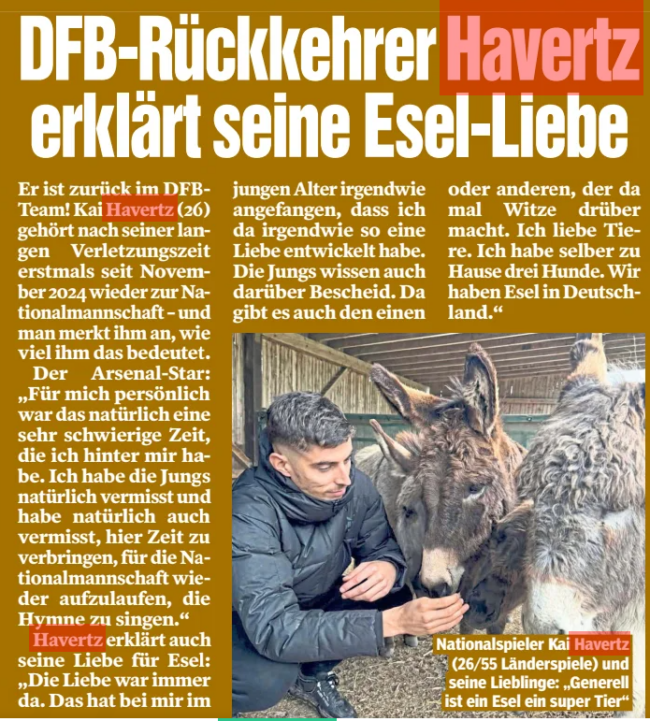 Kai Havertz explains his love of donkeys 2 Dfb returnee Havertz declares his donkey love BILD Hamburg26 Mar 2026 PHOTO: ISTAGRAM/KAIHAVERTZ29 National player Kai Havertz (26/55 international matches) and his favorites: "In general, a donkey is a super animal" He is back in the DFBTeam! Kai Havertz (26) belongs to the national team for the first time since November 2024 after his long injury time – and you can tell how much this means to him. The Arsenal star: "For me personally, of course, this was a very difficult time that I have been through. Of course I missed the guys and of course I also missed spending time here, playing for the national team again, singing the anthem.“ Havertz also explains his love for donkeys: "Love was always there. It kind of started with me at a young age, that I somehow developed such a love there. The guys also know about this. There is also one or the other who makes jokes about it sometimes. I love animals. I have three dogs at home myself. We have donkeys in Germany.“