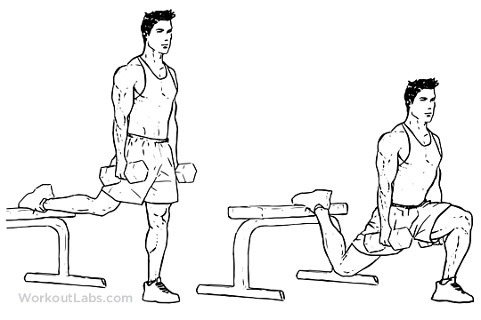 Exercise Routine: Bulgarian Squats