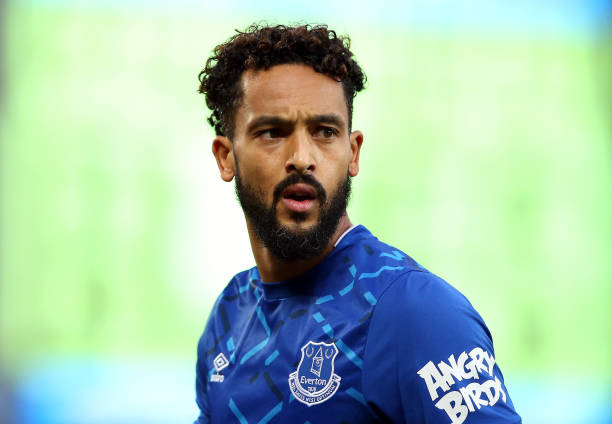 LIVERPOOL, ENGLAND - NOVEMBER 23: Theo Walcott of Everton during the Premier League match between Everton FC and Norwich City at Goodison Park on November 23, 2019 in Liverpool, United Kingdom. (Photo by Jan Kruger/Getty Images)