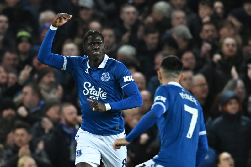 Everton's Senegalese-born Belgian midfielder #08 Amadou Onana celebrates after scoring their first goal during the English Premier League football match between Everton and Crystal Palace at Goodison Park in Liverpool, north west England on February 19, 2024. (Photo by PAUL ELLIS/AFP via Getty Images)