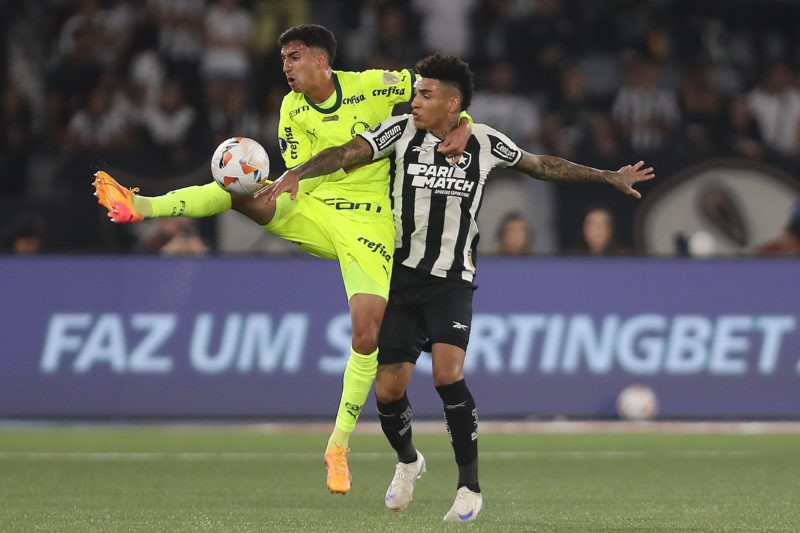 RIO DE JANEIRO, BRAZIL - AUGUST 14: Vitor Reis of Palmeiras fights for the ball with Igor Jesus of Botafogo during the Copa CONMEBOL Libertadores match between Botafogo and Palmeiras at Estadio Olimpico Nilton Santos on August 14, 2024 in Rio de Janeiro, Brazil. (Photo by Wagner Meier/Getty Images)